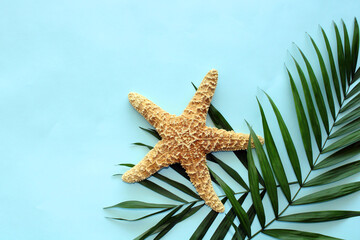 Fototapeta na wymiar Blue summer background wtih starfish and palm leaves