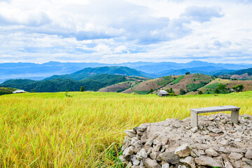 Pa Bong Piang Rice Terraces at Chiang Mai Province