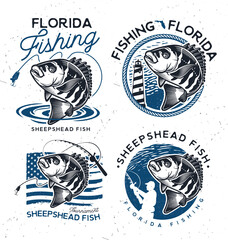 Vintage sheepshead fish emblems. and labels. Vector illustration. - 418472862