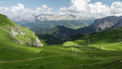 alpine meadow in the mountains