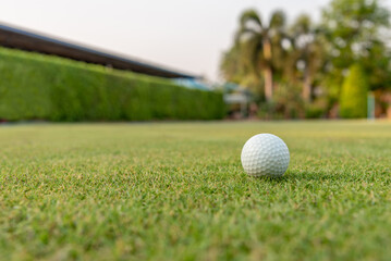 Golf ball on beautiful green lawn Golf is a sport that must be played on the lawn.