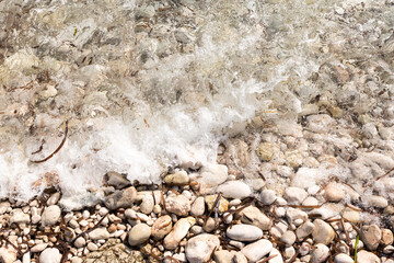shore with stones
