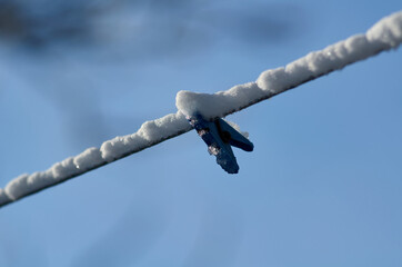 Clothes pin on the rope covered by snow