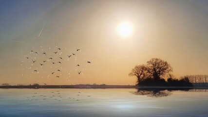 Fototapete bei efototapeten.de bestellen   