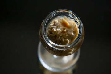 Reverse irish cream monkey brain shot drink in old fashioned elegant glass, stands on reflective surface. Gradient background