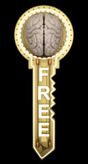 concept key with text free and brain