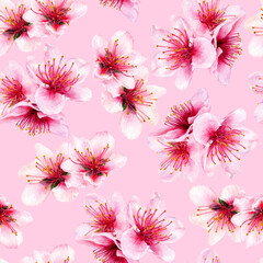 Watercolor seamless pattern spring blossom on a color background.