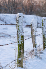 Alter Zaun mit rostigen Draht im Winter