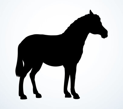 recommend clip art: Pony horse animal. Vector drawing