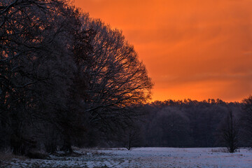 Sonnenaufgang im Winter am Waldrand