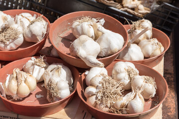 Garlic on the market bench
