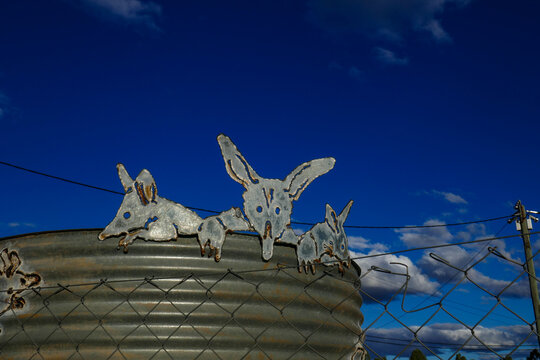 Corrugated watertank with Bilby artwork on top at Charleville.