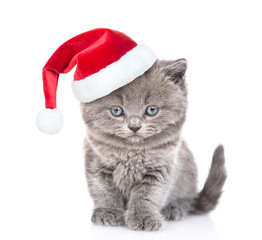 Cute kitten wearing a red christmas hat sits in front view and looks at camera. isolated on white background