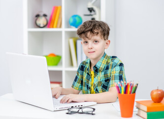 Young boy uses laptop at home. Distance learning concept