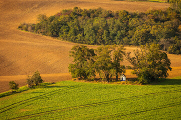 Fototapeta premium Autumn landscapes in South Moravia, Bohemia. The undulating fields shimmer with shades of green, brown and yellow.