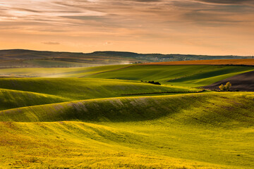 Autumn landscapes in South Moravia, Bohemia. The undulating fields shimmer with shades of green,...
