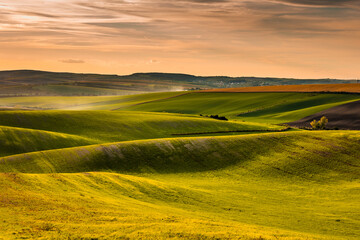 Autumn landscapes in South Moravia, Bohemia. The undulating fields shimmer with shades of green, brown and yellow.