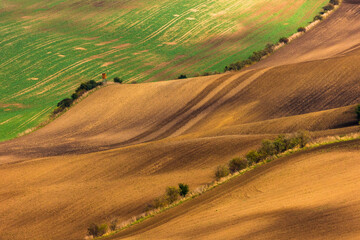 Fototapeta na wymiar Autumn landscapes in South Moravia, Bohemia. The undulating fields shimmer with shades of green, brown and yellow.