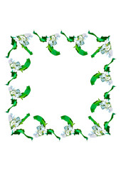 Frames are a branch of apple blossoms with leaves on the white background of the A4, vertical image
