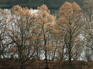 Maria im Weingarten und Weinberge bei Volkach, Landkreis Kitzingen, Unterfanken, Bayern, Deutschland