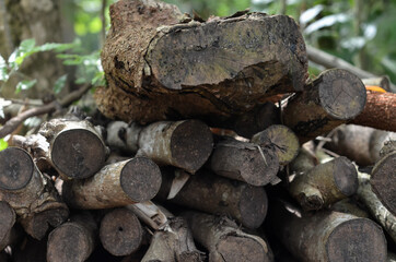 pile of firewood close up