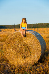 Naklejka na ściany i meble little cute girl sitting on a bale of straw in a field