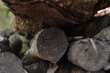 Pile of firewood close up