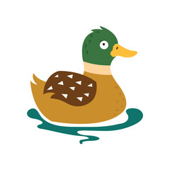 Cartoon duck, vector illustration on white isolated background