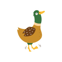 Cartoon duck, vector illustration on white isolated background