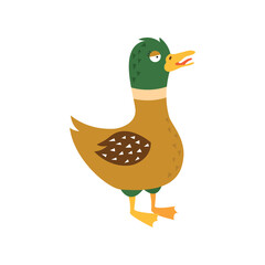 Cartoon duck, vector illustration on white isolated background