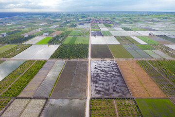 Panoramic landscape aerial view over rice paddy field. Agriculture fields in spring. Reflections of...