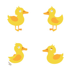 Cartoon duck, vector illustration on white isolated background