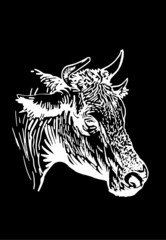 Vector drawing of cow portrait isolated on black background, cattle
