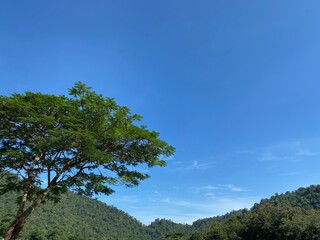 Obraz premium blue sky over wooded hillside in northern thailand