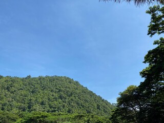 Obraz premium wooded hillside outside Chiang Mai in northern thailand