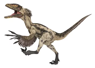 Rucksack Dinosaurier Deinonychus, Freisteller © Michael Rosskothen