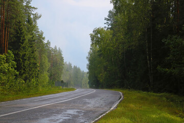 Fototapeta premium View of a wet forest road after the rain.