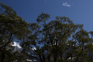 Mountain Views in Milford Sound New Zealand