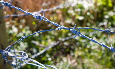 Barbed wire crossed close up, sunny spring day, with blurred background of foliage, UK