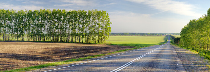 The road among fields and forests arable land, panoramic image