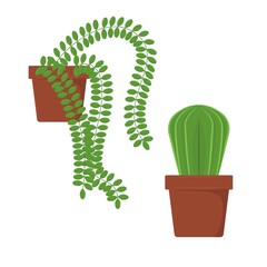 Indoor plants for home and office.