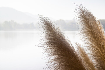 Fototapeta premium Chilled out lake at sunrise