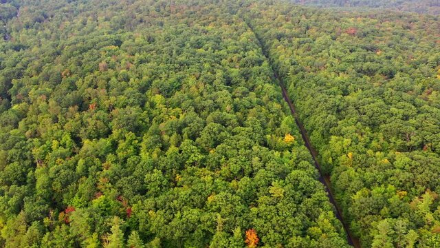 Aerial panning shot of road amidst green trees at lakeshore in forest, drone flying over lake against sky - Berkshire County, Massachusetts
