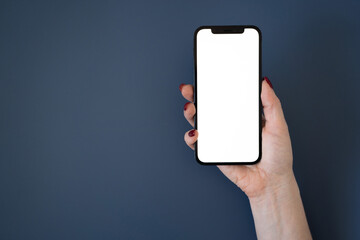 hand holding smart phone with blank screen