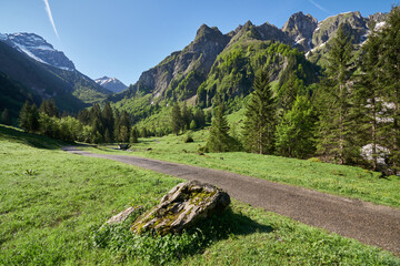 Bergsommer im mittleren Oytal