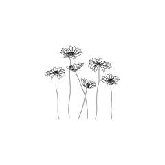 Chamomile flowers background. One line drawing. Minimalist line art.