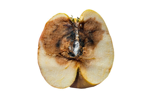 Fauliger Apfel