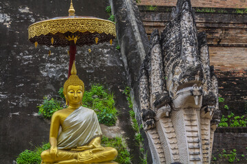 Buda y la serpiente en un templo antiguo