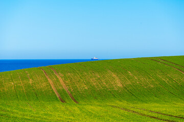 field and blue sky with clouds and sea
