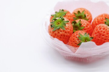 奈良県産　白いちご　淡雪